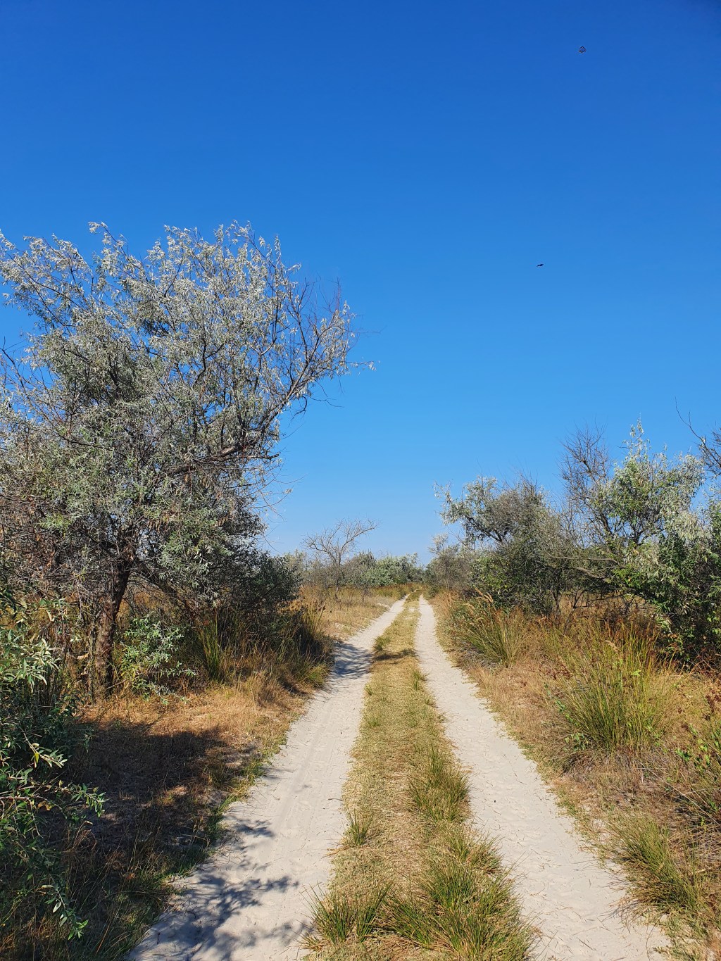 Running at a film festival in Sfantu&nbsp;Gheorghe